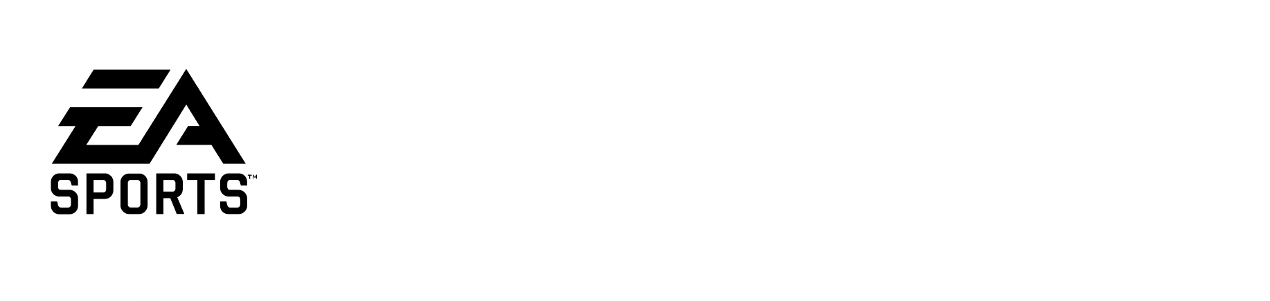 Organização de campeonato de EA FC 24