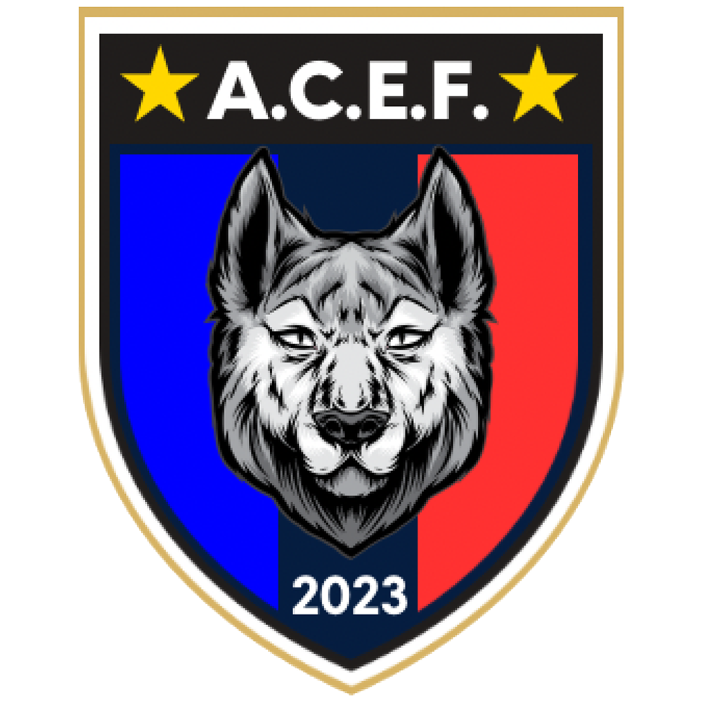 Escudo Artur Nogueira A.C.E.F
