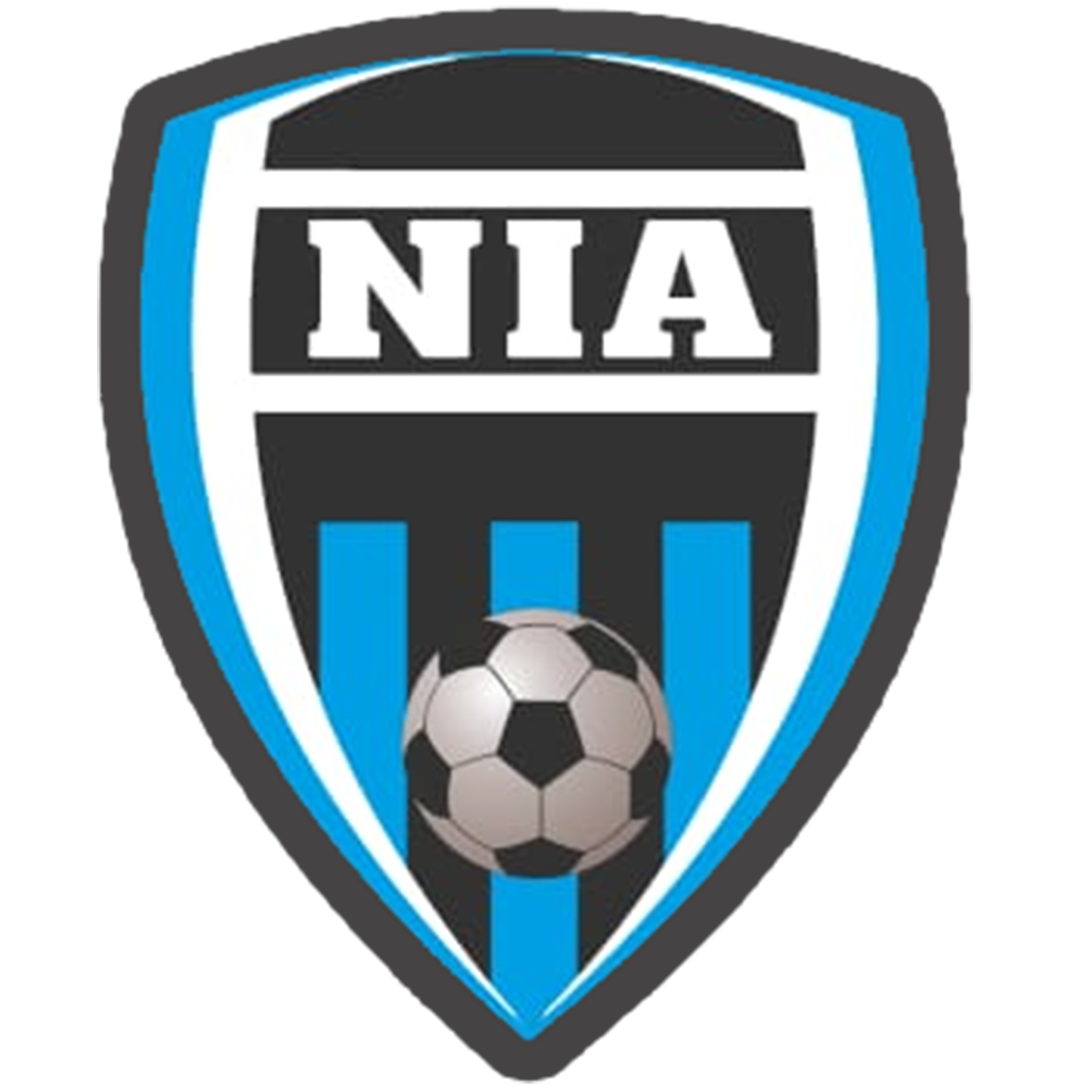 Escudo NIA Guarulhos